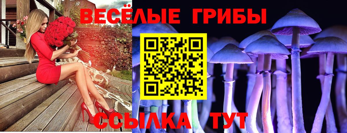 Псилоцибиновые грибы мицелий Щёлково