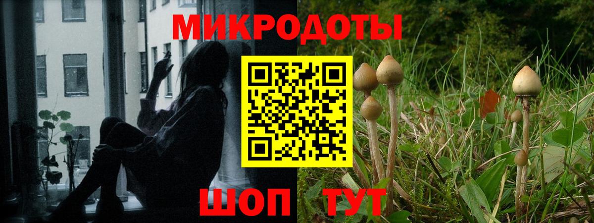 Галлюциногенные грибы Psilocybe  Вход с VPN  Щёлково 